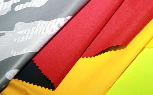 喜报 | 乘风破浪，深耕针织 尚正纺织首秀荣获“最佳市场价值奖”